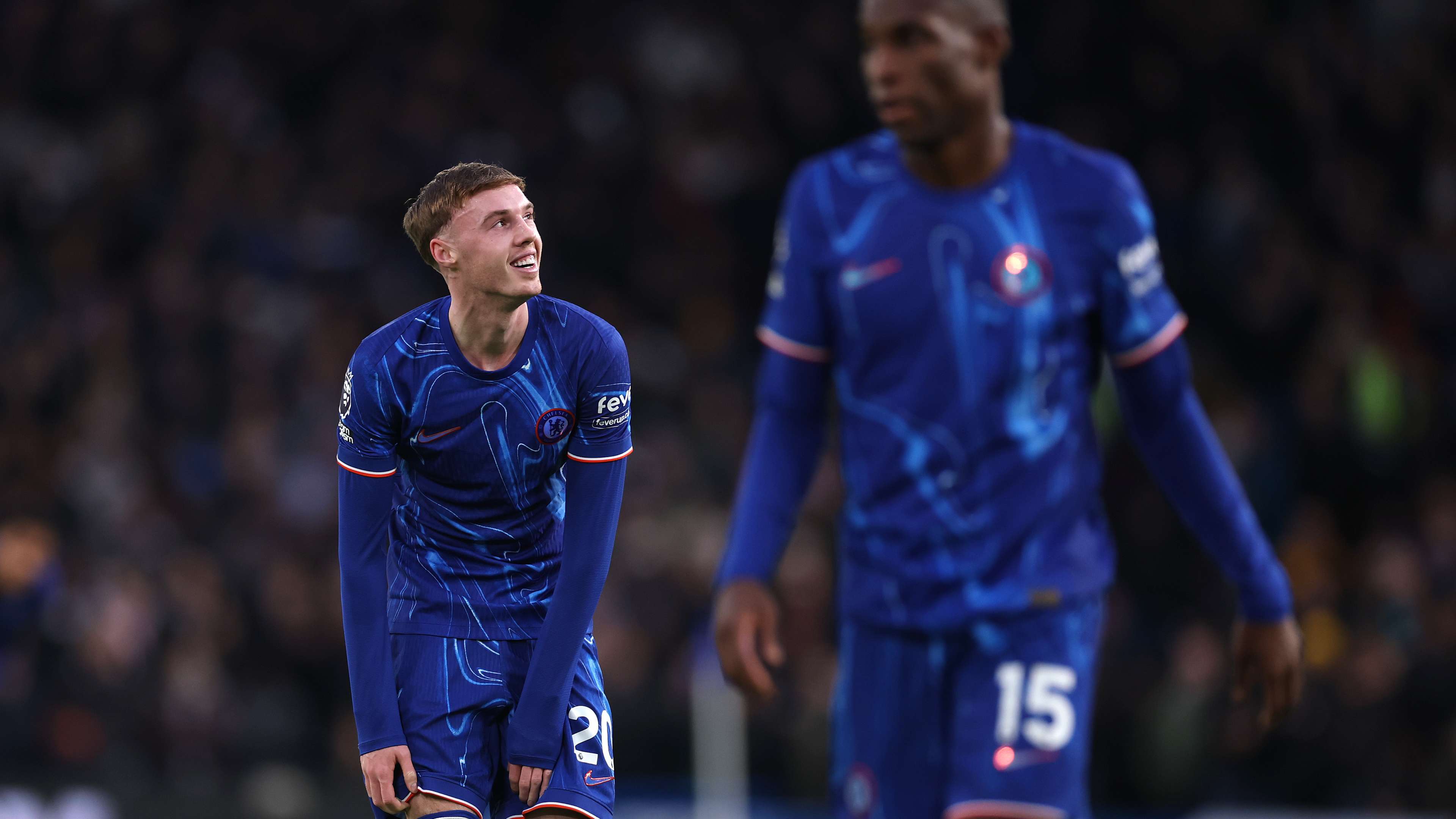 极有可能成 极有可能成